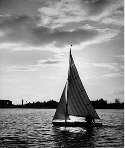 A flattie enjoying an evening sail